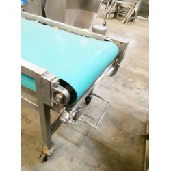 HORIZONTAL TEAL BELT CONVEYOR